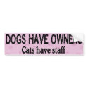 Dogs vs. Cats #1 bumper stickers by TheYankeeDingo Dogs vs. Cats #1 bumper stickers