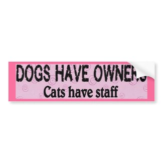 Dogs vs. Cats bumpersticker