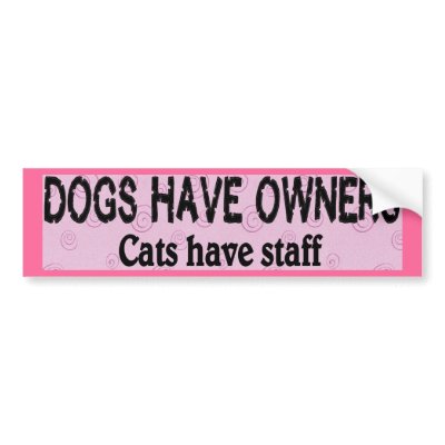 Dogs vs. Cats Bumper Stickers by StickerManiac