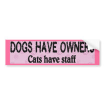 Dogs vs. Cats bumper stickers