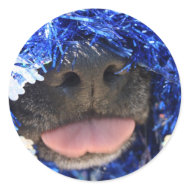 DogTongueOutBlueTinselsimpleframe sticker