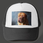Dogue de Bordeaux Art - Stormy Dogue Mesh Hats