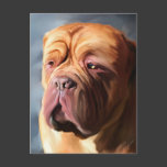 Dogue de Bordeaux Art - Stormy Dogue Postcards