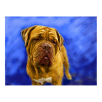 Dogue de Bordeaux Fine Art Prints