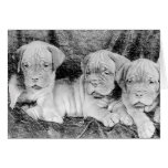 Dogue de bordeaux greeting card