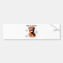 Dogue de Bordeaux History Design Bumper Sticker