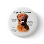 Dogue de Bordeaux History Design Pinback Buttons