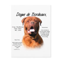 Dogue de Bordeaux History Design Post Card