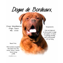Dogue de Bordeaux History Design t-shirts