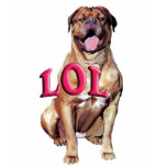 Dogue de Bordeaux LOL t-shirts