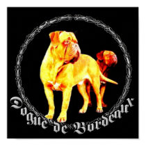 Dogue de Bordeaux poster posters