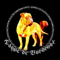 Dogue de Bordeaux poster posters