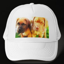 Dogue de Bordeaux puppies hat hats