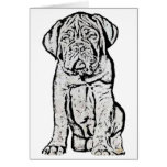 Dogue de Bordeaux puppy greeting card