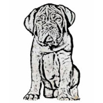 Dogue de Bordeaux puppy tank top t-shirts