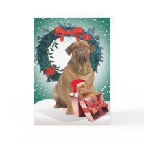 Dogue De BordeauxChristmas Gift Cards by friskybiz Dogue De BordeauxChristmas Gift Cards