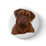 Dogue De Bourdeaux, French mastiff Buttons Dogue De Bourdeaux, French mastiff Buttons