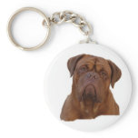 Dogue de Bourdeaux Key Chains Dogue de Bourdeaux Key Chains