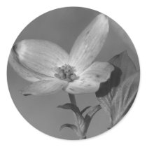 Dogwood Bloom stickers by princessklb07 Dogwood Bloom stickers