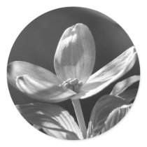 Dogwood Bloom stickers by princessklb07 Dogwood Bloom stickers