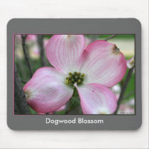 "Dogwood Blossom" mousepads