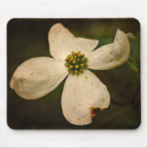 Dogwood Blossom - Mousepad