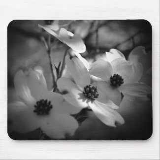 Dogwood Blossoms Bk-Wh-V mousepad