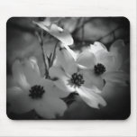 Dogwood Blossoms Bk-Wh-V Mouse Pad