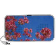 Dogwood Blossoms Speaker doodle