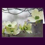 Dogwood branch--add your own words