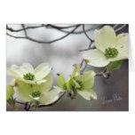Dogwood branch--add your own words