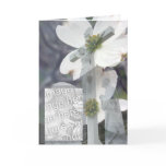  Dogwood Greeting Cards