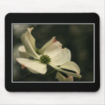 Dogwood Flower Mousepad! (with border) by zolojetto Dogwood Flower Mousepad! (with border)