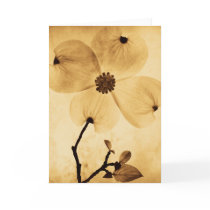 Dogwood Flower - MW1404 cards