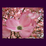 DOGWOOD Flowers 1 Nature Art Prints Posters