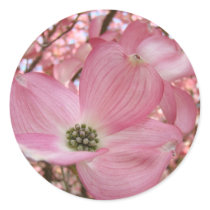 DOGWOOD FLOWERS Pink 1 Cards Art Gifts Mugs stickers by Basleeartprintgifts DOGWOOD FLOWERS Pink 1 Cards Art Gifts Mugs stickers
