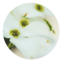 Dogwood Flowers Sticker by thehatch Dogwood Flowers Sticker