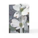 Dogwood Greetings Greeting Cards