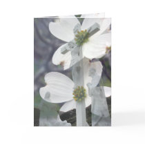 Dogwood Greetings Greeting Cards