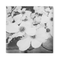 Dogwood Refrigerator Magnets