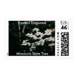 Dogwood, Missouris State Tree stamp