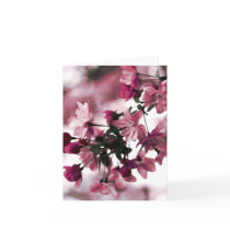 Dogwood Notecard