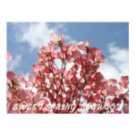 DOGWOOD Pink Flowers 7 Nature Art Prints Posters