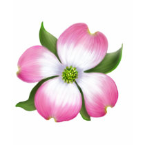 Dogwood  Pink t-shirts