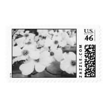 Dogwood Postage