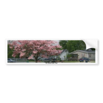 Dogwood Tree and storm bumper stickers by allthingsnatural Dogwood Tree and storm bumper stickers