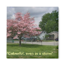 Dogwood Tree and storm magnets by allthingsnatural Dogwood Tree and storm magnets