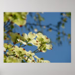 Dogwood Tree Floral Landscape art prints gifts