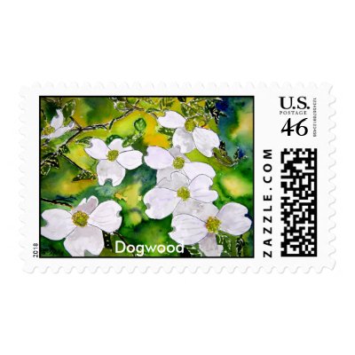 dogwood_tree_flowers, Dogwood by dereklovessheila
