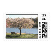 Dogwood Tree in Philadelphia, Kelly Drive postage